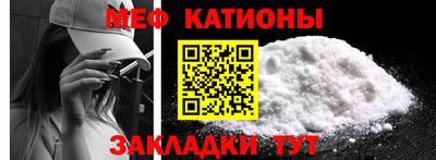 стаф Гай