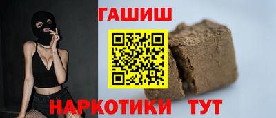 стаф Гай